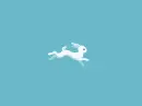 white bunny