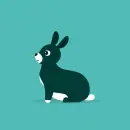 black-white bunny