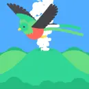 color bird 