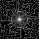 black-white optical