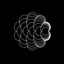 black-white optical