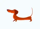 dachshund