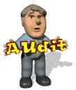 audit