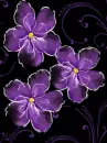 purple flowers