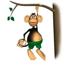 monkey