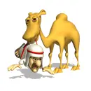 camel