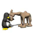 camel and penguin
