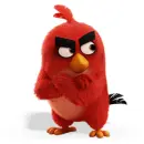 angry birds