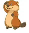 beaver