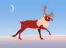 moose