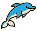 dolphin