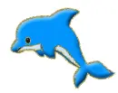 dolphin