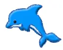 blue dolphin