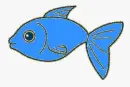 blue fish