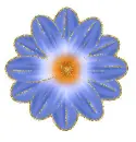 blue flower