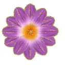 purple flower