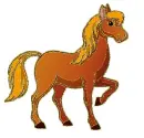 horse