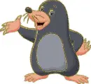 mole