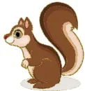squirrel
