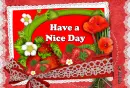 Have a Nice Day - by Robbie