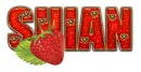 HEART SHIAN LOVE LETTERS TEXT 