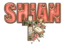 DUSTY ROSE BIBLE CROSS SHIAN TEXT