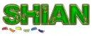 FOOTPRINTS SHIAN TEXT 