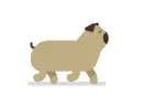 pug
