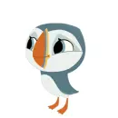 puffin