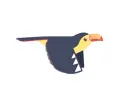 toucan