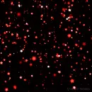 red stars