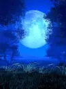 Night with moon