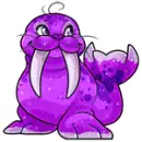purple walrus