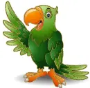 green parrot