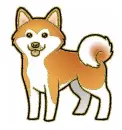 Shiba inu