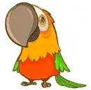 parrot