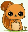 squirrel