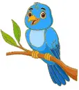 blue bird