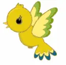 bird