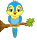 bird