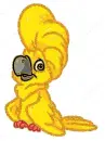 cockatoo