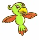 cockatoo