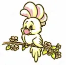 cockatoo