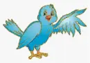 blue bird