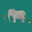 elephant bathing
