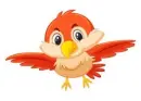 red bird