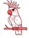 color change cockatoo