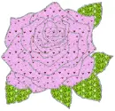 rose with hearts