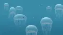 jellyfish