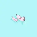 piglets are swimming